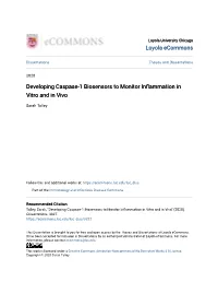 Developing Caspase-1 Biosensors to Monitor Inflammation in Vitro and in Vivo