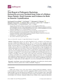 First Report of Pathogenic Bacterium Kalamiella Piersonii Isolated