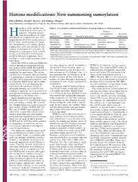 Histone Modifications: Now Summoning Sumoylation