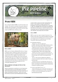 Pig Pipeline 9CTV[ - BEKI Updates