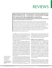 Development, Evolution and Pathology of Neocortical Subplate Neurons