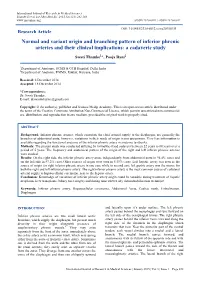 Normal and Variant Origin and Branching Pattern of Inferior Phrenic Arteries and Their Clinical Implications: a Cadaveric Study