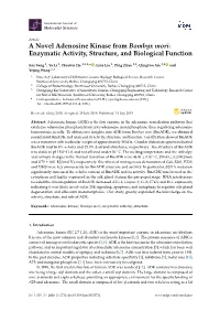 A Novel Adenosine Kinase from Bombyx Mori: Enzymatic Activity, Structure, and Biological Function