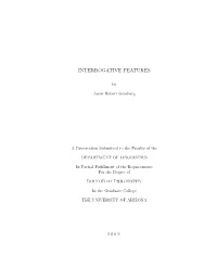 Interrogative Features
