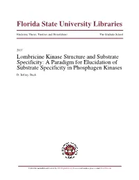 Lombricine Kinase Structure and Substrate Specificity: a Paradigm for Elucidation of Substrate Specificity in Phosphagen Kinases D