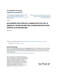 Metadherin Functions As a Laminin Receptor That Is Essential for Metastasis and Is Associated with Poor Survival in Osteosarcoma