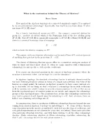 What Is the Motivation Behind the Theory of Motives?