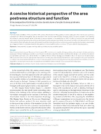 A Concise Historical Perspective of the Area Postrema Structure and Function