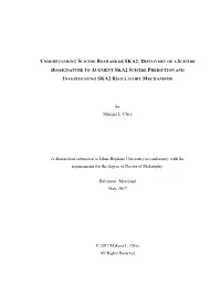 By Makena L. Clive a Dissertation Submitted to Johns Hopkins University in Conformity with the Requirements for the Degree of Do