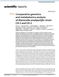 Comparative Genomics and Metabolomics Analysis Of