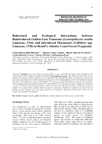 Behavioral and Ecological Interactions Between Reintroduced Golden
