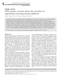 CES1 Genetic Variation Affects the Activation of Angiotensin-Converting Enzyme Inhibitors