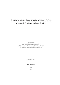Medium Scale Morphodynamics of the Central Dithmarschen Bight