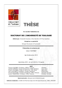 Pdf [Accessed August 19, 2013]