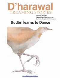 Budbri Learns to Dance DREAMING STORIES