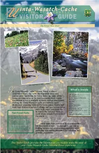 Uinta-Wasatch-Cache National Forest Is Where Civilization Meets the “Wild.” Metropolitan Areas and Get to Know Us