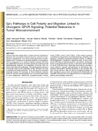 Gβγ Pathways in Cell Polarity and Migration Linked to Oncogenic