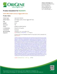 GCAT (NM 014291) Human Tagged ORF Clone Product Data