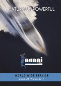 Nanni-Wws.Pdf