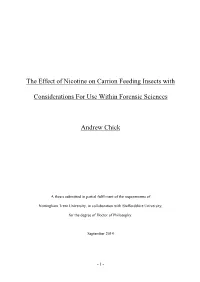 The Effect of Nicotine on Carrion Feeding Insects With