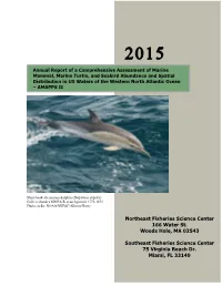 2015 Annual Report of a Comprehensive Assessment of Marine Mammal, Marine Turtle, and Seabird Abundance and Spatial Distribution