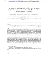 An Integrative Multi-Approach Workflow Resolves Species Limits in the Southernmost Members of the Liolaemus Kingii Group (Squama