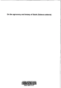 On the Agronomy and Botany of Salak(Salacca Zalacca)