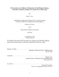 1 Introduction and Background