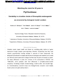 Flyclockbase