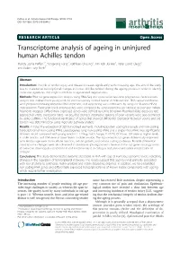 Transcriptome Analysis of Ageing in Uninjured Human Achilles Tendon