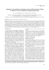 Abundance of Mycophagous Arthropods Present on Different Species of Fungi in Relation to Resource Abundance at Different Spatial Scales