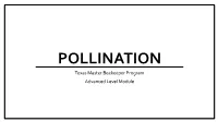 Texas Master Beekeeper Program Advanced Level Module What Is Pollen?
