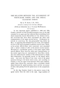 The Kelation Between the Occurrence of Whiterami Fibers and the Spinal Accessory Tu’Ekve