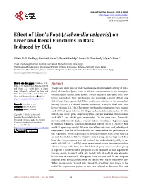 Alchemilla Vulgaris) on Liver and Renal Functions in Rats Induced by Ccl4