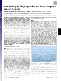 Cold Sensing by Nav1.8-Positive and Nav1.8-Negative Sensory Neurons