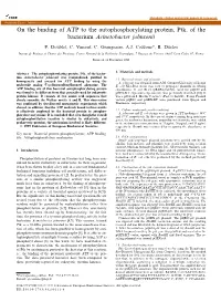 On the Binding of ATP to the Autophosphorylating Protein, Ptk, of the Bacterium Acinetobacter Johnsonii