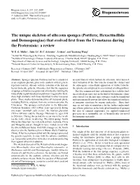 The Unique Skeleton of Siliceous Sponges (Porifera; Hexactinellida and Demospongiae) That Evolved ﬁrst from the Urmetazoa During the Proterozoic: a Review
