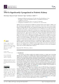 TP63 Is Significantly Upregulated in Diabetic Kidney