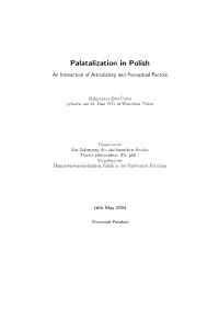 Palatalization in Polish: an Interaction of Articulatory and Perceptual Factors
