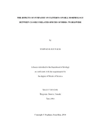 The Effects of Sympatry on Patterns of Bill Morphology