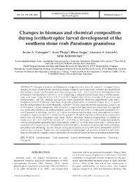 Changes in Biomass and Chemical Composition During Lecithotrophic Larval Development of the Southern Stone Crab Paralomis Granulosa