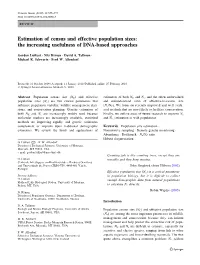 Estimation of Census and Effective Population Sizes: the Increasing Usefulness of DNA-Based Approaches