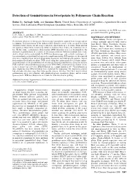 Detection of Geminiviruses in Sweet Potato By