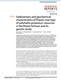 Sedimentary and Geochemical Characteristics of Triassic New Type