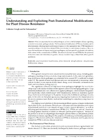 Understanding and Exploiting Post-Translational Modifications for Plant Disease Resistance