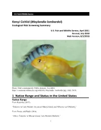 Kenyi Cichlid (Maylandia Lombardoi) Ecological Risk Screening Summary