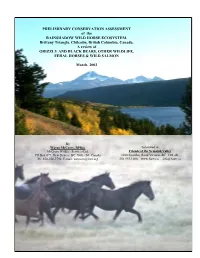 PRELIMINARY CONSERVATION ASSESSMENT of the RAINSHADOW WILD HORSE ECOSYSTEM, Brittany Triangle, Chilcotin, British Columbia, Canada