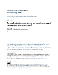 The Meadow Jumping Mouse Genome and Transcriptome Suggest Mechanisms of Hibernation [Preprint]