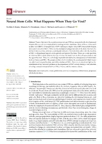 Neural Stem Cells: What Happens When They Go Viral?