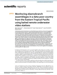Monitoring Elasmobranch Assemblages in a Data-Poor Country from the Eastern Tropical Pacific Using Baited Remote Underwater Vide